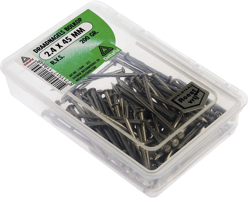 DRAADNAGELS BOLKOP R.V.S. 2.7X55 200 GR | Mtools