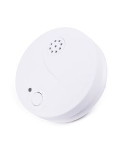 009466 Rookdetector