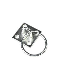 013968 Oogplaat met ring 6 mm