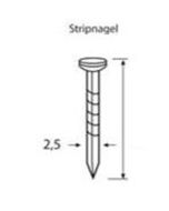Dutack Fasteners Nagels 2,5x16mm verzinkt