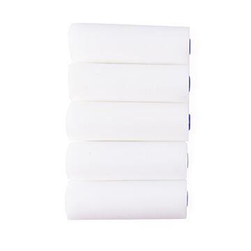 008489 Lakroller foam 10 cm 5 dlg