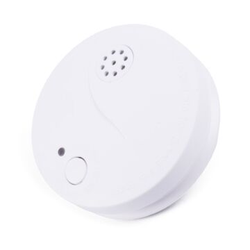 009466 Rookdetector