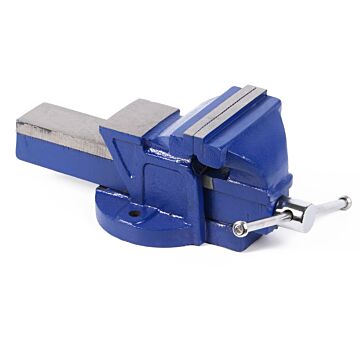 010080 Bankschroef 100 mm