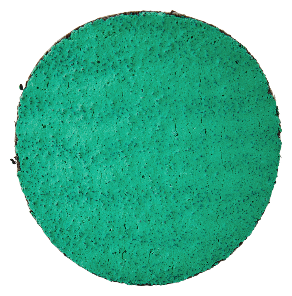 Makita E-07440 Schuurschijf 50mm Z60 | Mtools