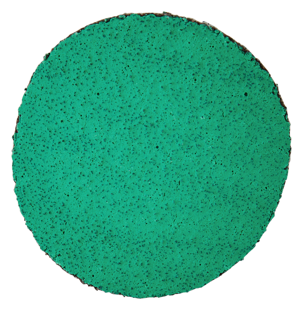 Makita E-07456 Schuurschijf 50mm Z80 | Mtools