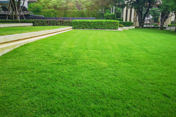 gazon weken na verticuteren