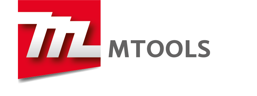 Custom Footer Logo